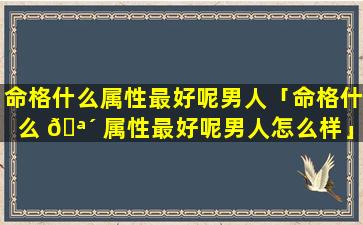 命格什么属性最好呢男人「命格什么 🪴 属性最好呢男人怎么样」